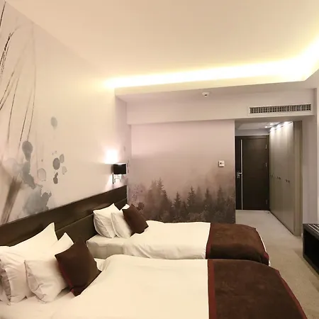호텔 Queen's - Zebra Centre 스코페