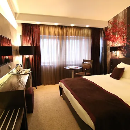 Queen's - Zebra Centre سكوبجي